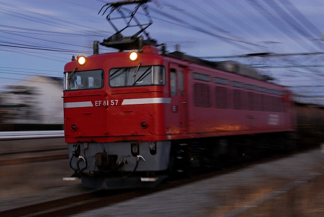 5781.jpg