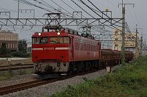 EF81133