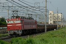 EF8155