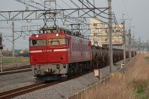 EF8181