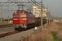 EF8198