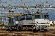 EF651006