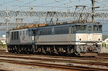EF651048