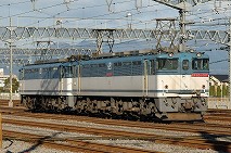 EF651067