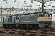 EF651085