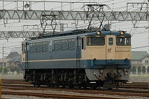EF651119