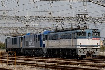EF651139